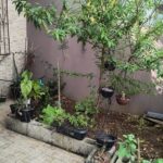 WhatsApp Image 2025-12-10 at 10.30.05 (2)